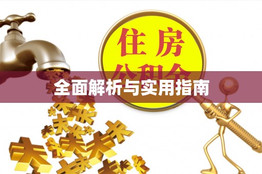 将乐全面解析与实用指南