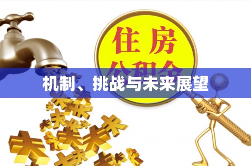 将乐机制、挑战与未来展望